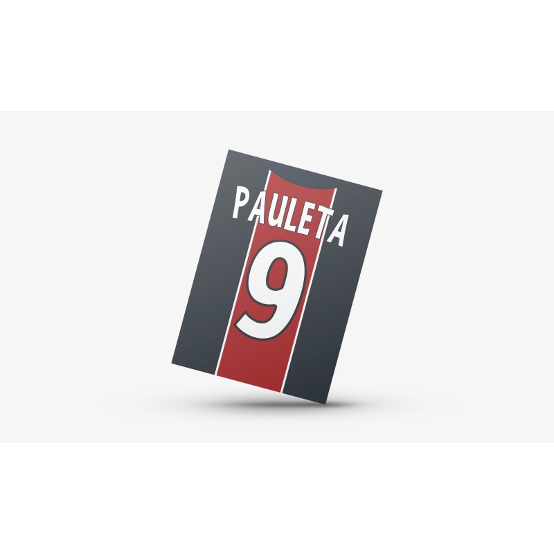 Poster Paris SG 05/06 - PAULETA